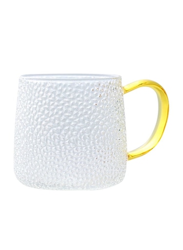 Glass Water Cup With Handle