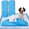 Super Absorbent Pet Training Pads, Anti Slip Toilet Pee Mat, Leak Proof, Disposable Dog Diapers for Cats and Dogs (Medium (45*60cm), 50, Pcs)