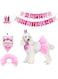 Zutesu Dog Birthday Party Supplies, Dog Birthday Hat Bandana Scarf with Cute Dog Bow Tie, Banner, Dog First Birthday Outfit for Pet Puppy Cat (Pink)