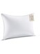 Linen Klub 180 TC Cotton Pillow with Single Piping