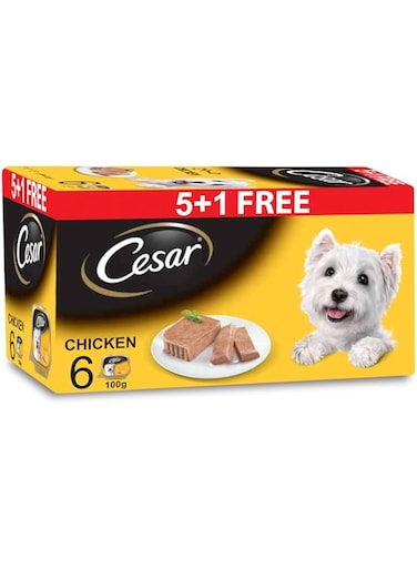 Cesar Dog Food, Chicken Dog Wet Food, Tray of 6x100g, Formulated Without Grains, Complete and Balanced Dog Nutrition