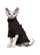 DUOMASUMI Sphynx Cat Clothes Self-Heat Baby Soft Winter Kitten Clothes for Hairless, Cornish, Devon, Peterbald Cat (S)