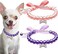 2 Pcs Dog Cat Pearl Collar Necklace with Rhinestone Bone, Fancy Cat Wedding Collar Jewelry for Cat Puppy Dogs Pets (Style 1, S)