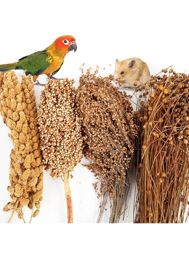 FDTY Natural Hamster Bedding, Edible Hamster Sprays Flowers &amp; Herbs Gerbil Habitat Enclosure Decor Grain Treats Cage Accessories for Dwarf Syrian Hamster Gerbil Mice Lemming Degus