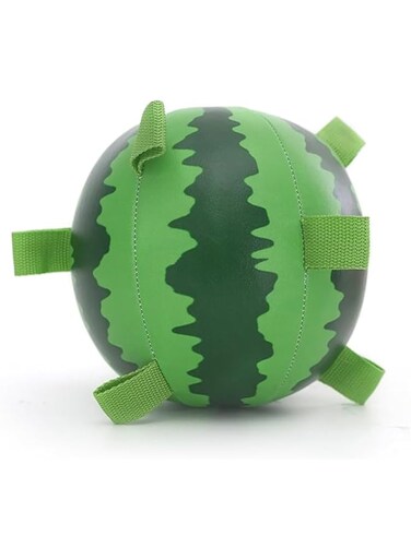 Gtoulkxn Interactive Dog Football: Tail-Wagging Fun Dog Toy with Extra Durable Straps, Ideal for Exciting Playtimes &amp; Water Games for Small &amp; Medium Dogs Ball 18 cm(watermelon)