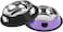Lonimia Stainless Steel Cat Bowl Pet Bowl,2Pcs Cat Bowl Pet Bowl for Food and Water, Non-Slip Pet Feeding Dish Bowl With Rubber Base for indoor Cats Small Dogs(Black/Purple)