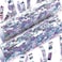 Serpentines 7mmx18Throwsx4m-Holographic Silver