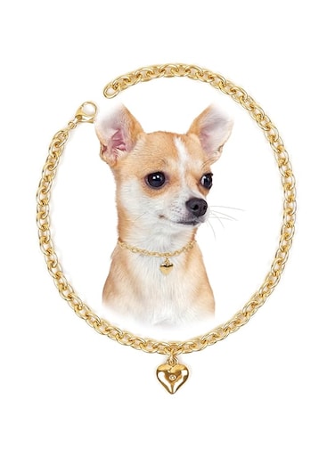 HOWWFALY Dog Collar and Cat Chain Necklace Stainless Steel Adjustable 18K Gold Heart-Shaped Necklace for Small Pets Cats Kitten Puppy (Gold, 10 inch)