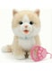 Walking &amp; Singing Cat Toy for Kids Brown &ndash; Remote Control Leash Electronic Pet Cat Kids Toy   Interactive Walking Plush Toy with Music &amp; Sound   Battery Operated Robotic Cat for Boys &amp; Girls   Pretend Pet Play Toy Gift for Birthday (Beige)