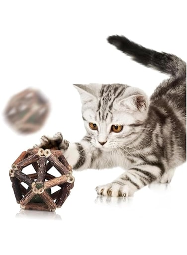 Polygonum catnip ball teeth grinding stick, cat teeth cleaning ball Cat toy, mint toy ball polygonal wood (2pcs)