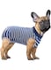 Recovery Suit for Dog, Dog Sterilization Surgical Gown, Pet Recovery High Elastic Breathable, Nursing Clothes for Dogs After Weaning and Sterilization, Recovery Shirt for Abdominal Wounds (S Size)