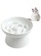 Elevated Slow Feeder Cat Bowl, Stop Vomiting &amp; Choking, Ceramic Cat Slow Feeder Bowl, Spill-Proof &amp; Anti-Tipping, Easy to Clean, No Black Chin, Raised Cat Bowl Slow Feeder for Dry &amp; Wet Food