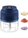 Electric Mini Garlic Chopper, Portable Small Food Processor, Vegetable Chopper Onion Mincer, Cordless Meat Grinder with USB Charging For Vegetable, Chili, Fruits, Ginger, Baby Food, Seasoning (300ML)