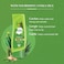 دابور فاتيكا بلسم طبيعي للتحكم في تساقط الشعر  غني بالصبار و الجرجير 400 ملل