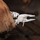 NexTool Flagship Captain   19 in 1 EDC Multi-Functional Tool
