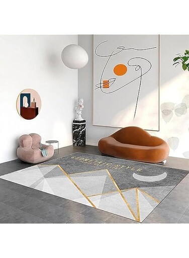 Modern Area Rug, Soft Anti-Skid Room Floor Carpet, Contemporary Geometric Rugs for Indoor Living Dining Room and Bedroom Area (80 * 120)