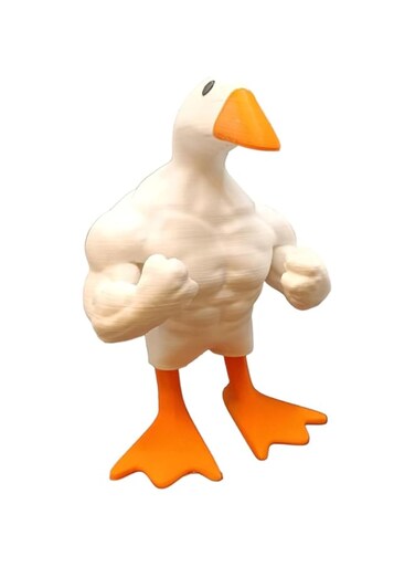 Rayyan Magnetic Goose Duck Key Holder, Unique Standing Muscle Goose Statue Key Holder, Funny Animal Magnetic Key Holder, Cute Desk Accessories for Room Office Tabletop Ornament