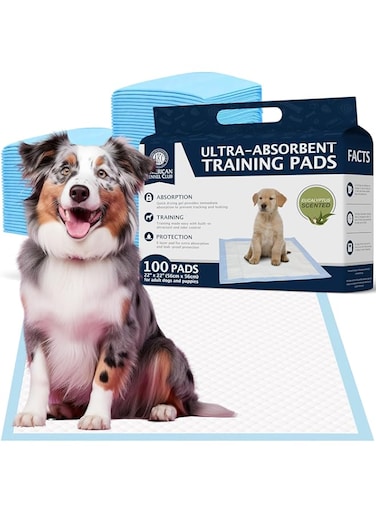 American Kennel Club AKC 100-ct Eucalyptus Ultra-Absorbent Odor Control Pet Training Pads, 6-Layer Protection
