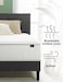 ZINUS 6 Inch Foam and Spring Mattress Queen Size