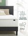 Zinus 10 Inch Foam and Spring Hybrid Mattress Queen Size