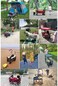Portable Folding Garden Trolley Cart Heavy Duty Trolley Wagon Multi-Function Shopping Cart for Outdoor Camping Beach Pull Truck with 4 Wheels