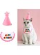 CheeseandU 2Pcs Cat Birthday Party Supplies Decorations Set, Pet Birthday Hat Adjustable Cotton Bib Set Happy Birthday Bandanas Scarves Costume for Small Pets Cats Dogs, Pink/Blue (Pink)