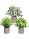 Joyzzz Artificial Plants, 3 Pcs Plastic Fake Green Plants in Pot, Potted Faux Topiaries Shrubs, Eucalyptus for Home Office Desk Bathroom Farmhouse Decoration Indoor Tabletop Centerpiece Gift