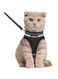 rabbitgoo Cat Harness and Leash Set for Walking Escape Proof, Adjustable Soft Kittens Vest with Reflective Strip for Extra Small Cats, Comfortable Choke-Proof Outdoor Vest Harness,Black, Large
