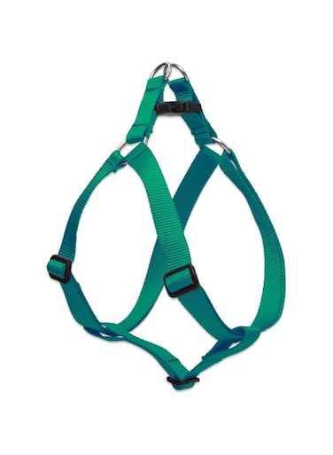 Lupine Step In Harness 19-28, Green, 1 Inch