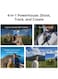 DJI Osmo 360 II Adventure Combo Action Camera