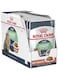 Royal Canin, Digest Sensitive Feline Care Nutrition Cat Food, Gravy, 12 Pouches x 85 grams