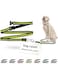 Doco&reg; Athletica Easy-Snap Air Leash 6Ft (Dca1372) Sizes - S, Color - Safety Lime