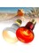 TobeBright 75W Reptile Heat Lamp Bulb, 2PCS Day &amp; Night Basking Spot Light Combo Pack includes Infrared Heat Lamp and UVA Daylight Heating Lamp Basking Light