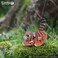 EUGY 3D TIGER PUZZLE