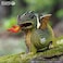 EUGY 3D DRAGON PUZZLE