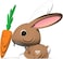 EUGY 3D RABBIT PUZZLE