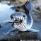 EUGY 3D LEOPARD SEAL PUZZLE