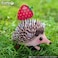 EUGY 3D HEDGEHOG PUZZLE