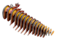 EUGY 3D WALRUS PUZZLE
