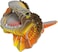 EUGY 3D FRILLED LIZARD PUZZLE
