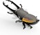 EUGY 3D STAG BEETLE PUZZLE