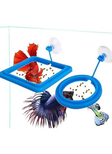 B&amp;K PET Shop Feeding Ring/Square Fish Tank Aquarium Fish Feeder Practical Floating Food Square and Round with Suction Cup (Circle/Square/both) (square)