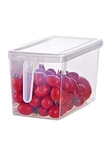 Fruit Storage Container With Handle Transparent