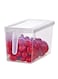 Fruit Storage Container With Handle Transparent