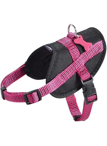 Bobby Easy Safe Harness - Fuschia/S