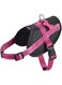 Bobby Easy Safe Harness - Fuschia/S