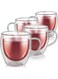 4pc Double Walled Glass Coffee Mugs with Handle,Insulated Layer Coffee Cups,Clear Borosilicate Glass Mugs,Perfect for Cappuccino,Tea,Latte,Espresso,Hot Beverage,Safe (250ml 4pcs)