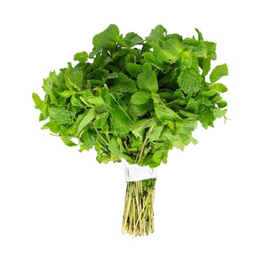 عشبة النعناع