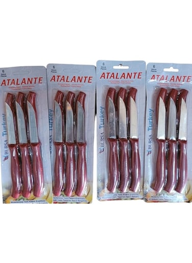 Stainless Steel Fruit Knife Set (24 pcs) - Stainless Steel Razor Sharp Blades - Ultra Sharp Cooking Knives, Perfect for Carving &amp; Chopping - Best Kitchen Gift for Cooking Lovers &amp; Chefs
