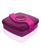 Picnic Origins Lunch Box Purple